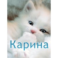 Карина Власова, 1 января , Касимов, id85688277